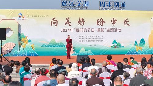芜湖市举办2024年 我们的节日 重阳 主题文化活动