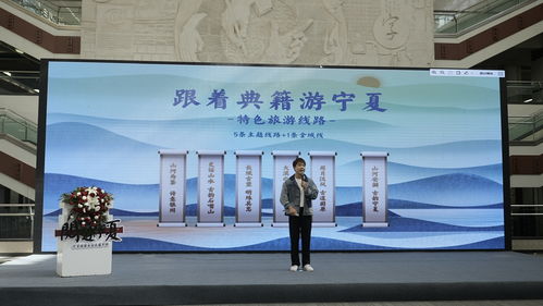 宁夏启动 阅游宁夏 丝路焕彩 文化惠民系列活动