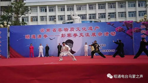 昭阳区举行云南省非物质文化遗产昭通清拳 彭家拳交流展示活动