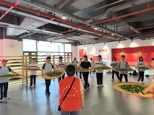武夷星 科技助力茶产业发展,研学促进茶文化继承