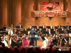 交响音乐艺术之花绽放在云霄——文化艺术交流新篇章